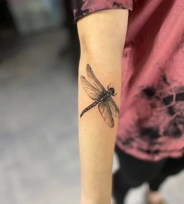 More Sublime Entries Of Dragonfly Tattoos