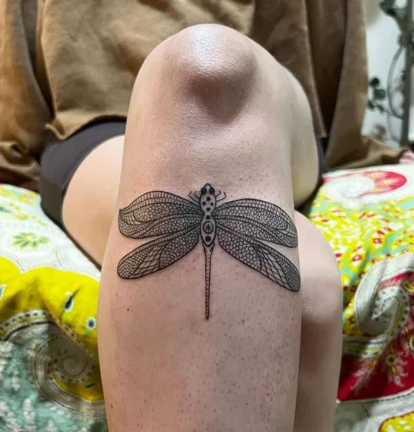 More Sublime Entries Of Dragonfly Tattoos