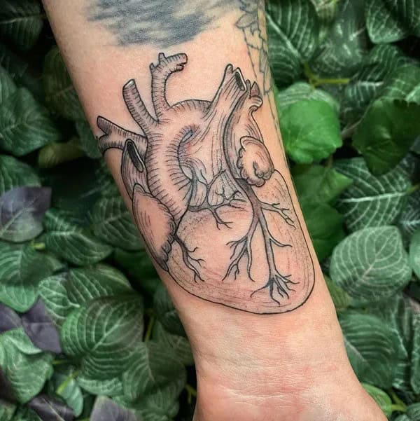 Anatomical Heart Tattoo On Chest