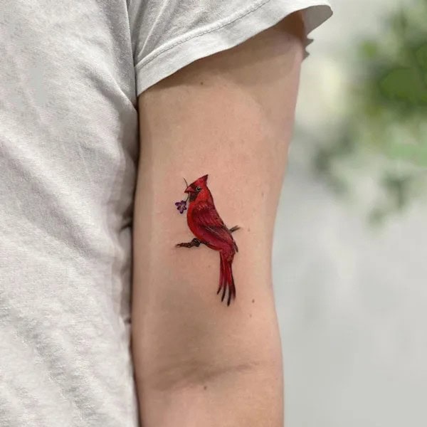 Small Cardinal Tattoo