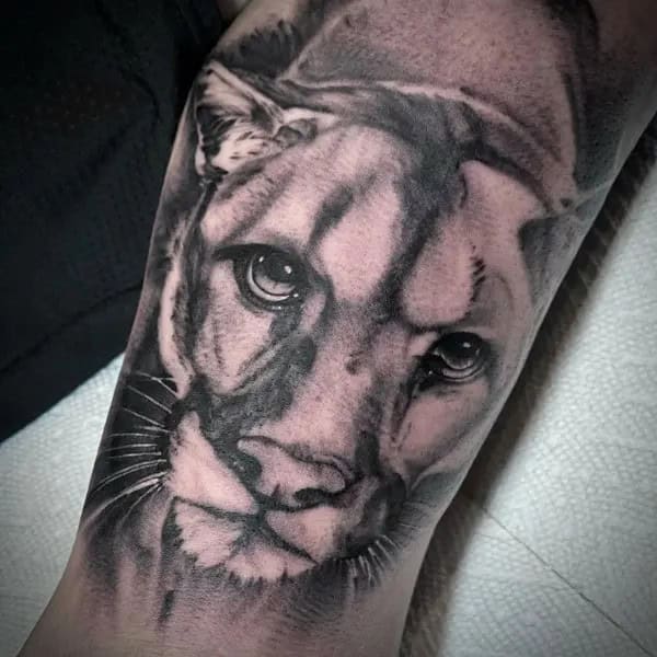 Mountain Lion Tattoo