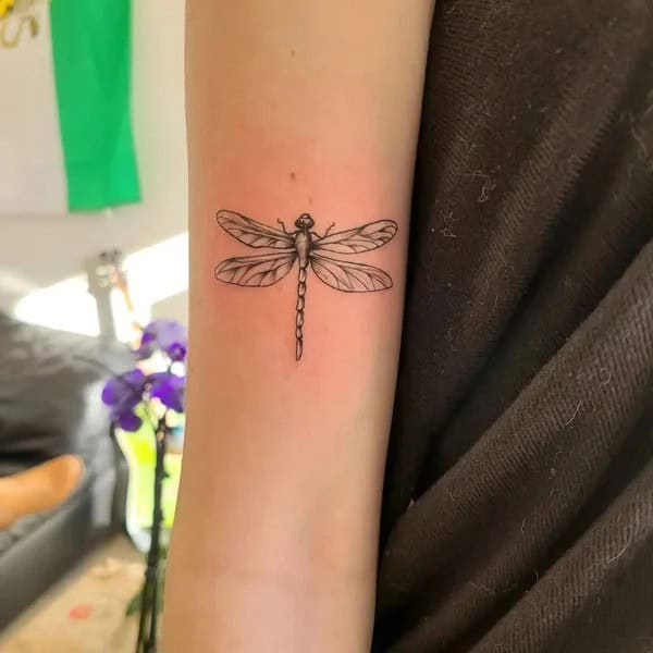 More Sublime Entries Of Dragonfly Tattoos