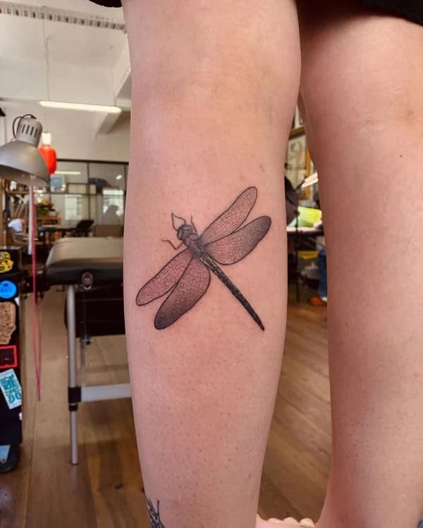 More Sublime Entries Of Dragonfly Tattoos