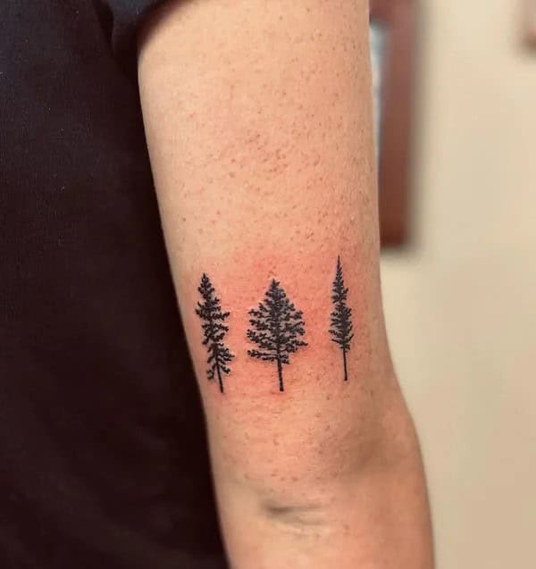 3 Pine Tree Tattoo