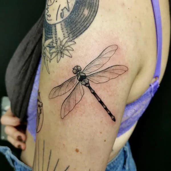 More Sublime Entries Of Dragonfly Tattoos