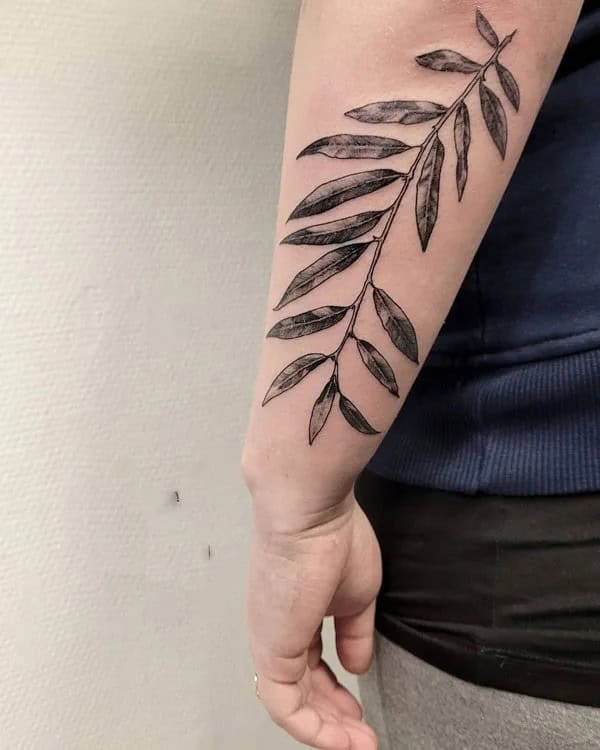 Willow Leaf Tattoo