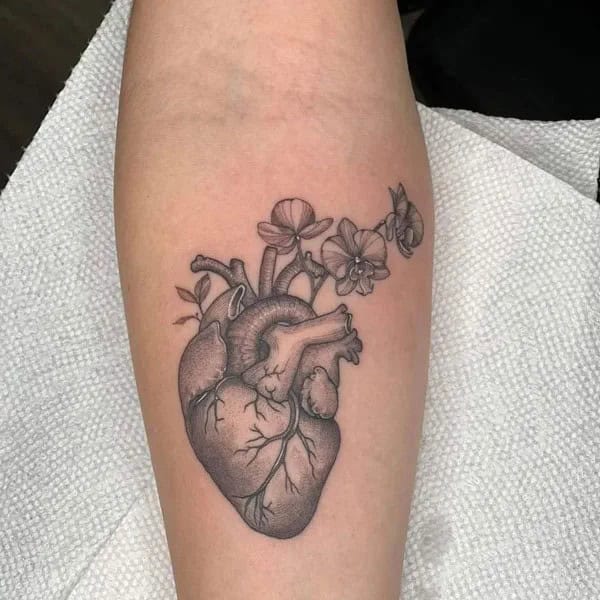 Anatomical Heart Tattoo On Chest