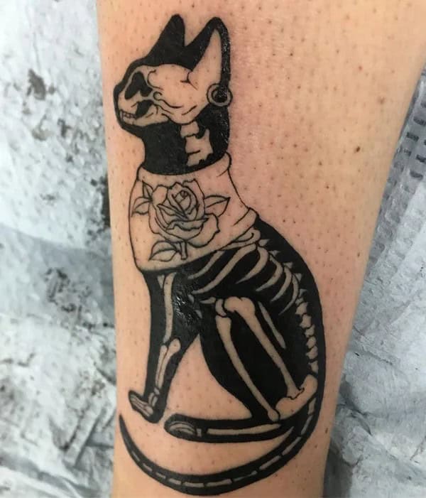 Cat Skeleton Tattoo