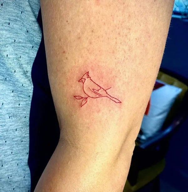 Cardinal Outline Tattoo