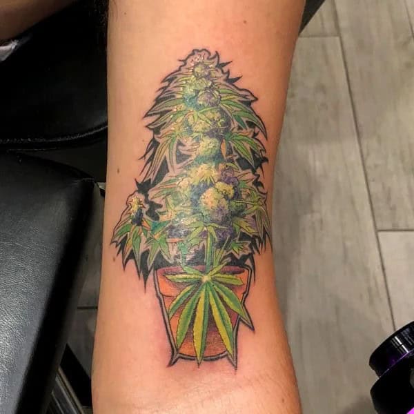 Weed Plant Tattoo