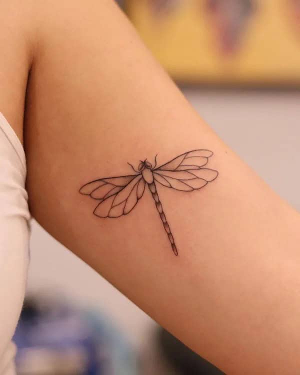 More Sublime Entries Of Dragonfly Tattoos