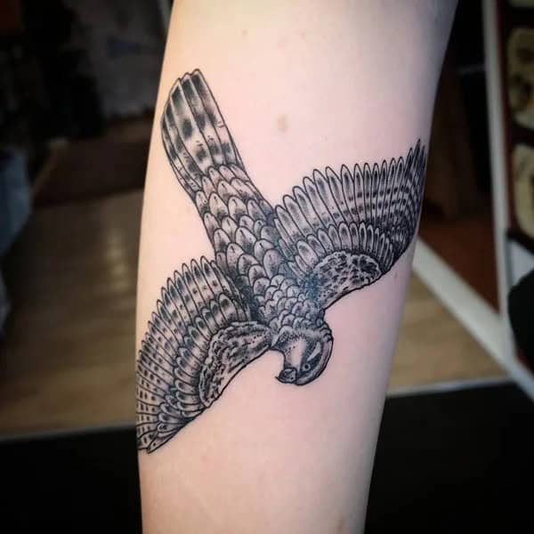 Sparrow Hawk Tattoo