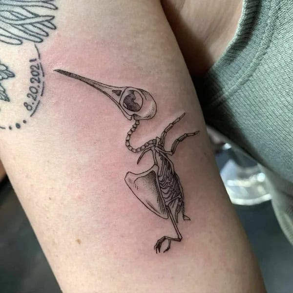 Hummingbird Skeleton Tattoo