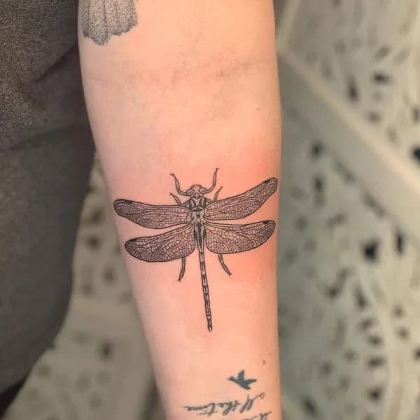 More Sublime Entries Of Dragonfly Tattoos