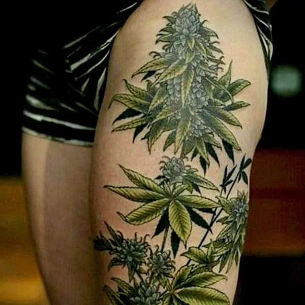 Weed Plant Tattoo