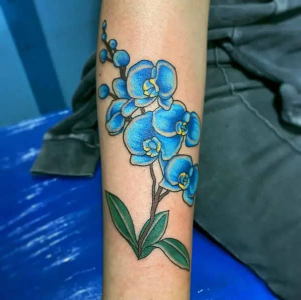 Blue Orchid Tattoo