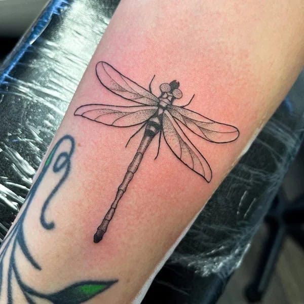 More Sublime Entries Of Dragonfly Tattoos