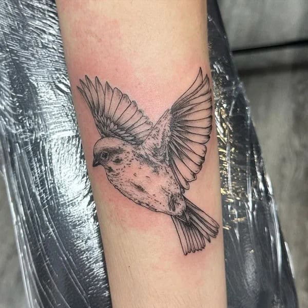 Flying Sparrow Tattoo