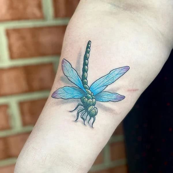 More Sublime Entries Of Dragonfly Tattoos