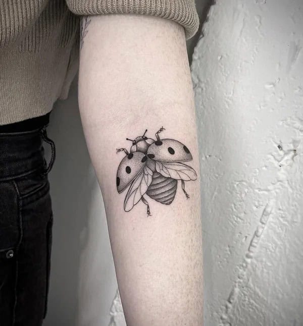 Black and White Ladybug Tattoo