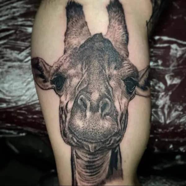 Giraffe Face Tattoo