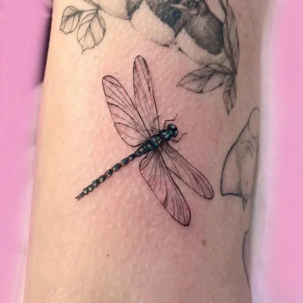 Realistic Dragonfly Tattoo