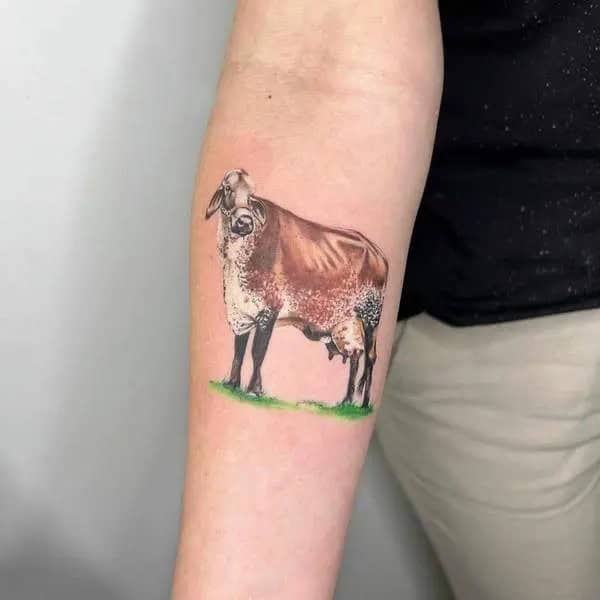 Realistic Cow Tattoo