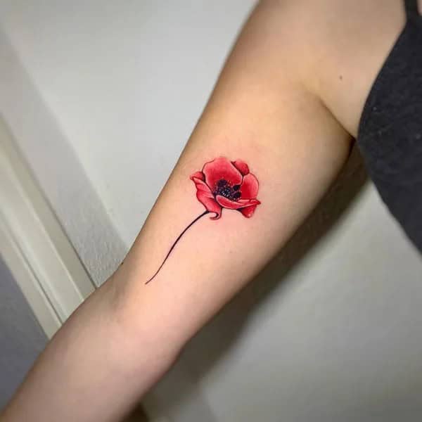 Simple Poppy Flower Tattoo