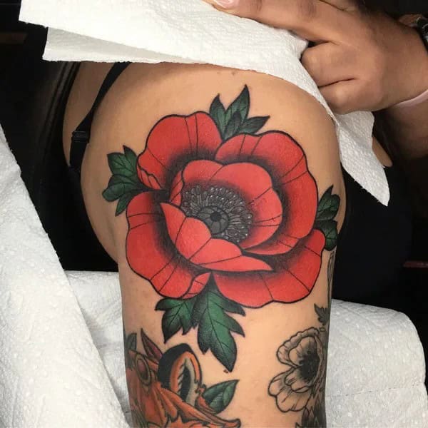 Meaning And Symbolism Of Poppy Flower Tattoo