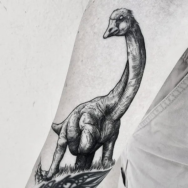 Brontosaurus Tattoo