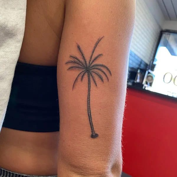 Palm Tree Outline Tattoo