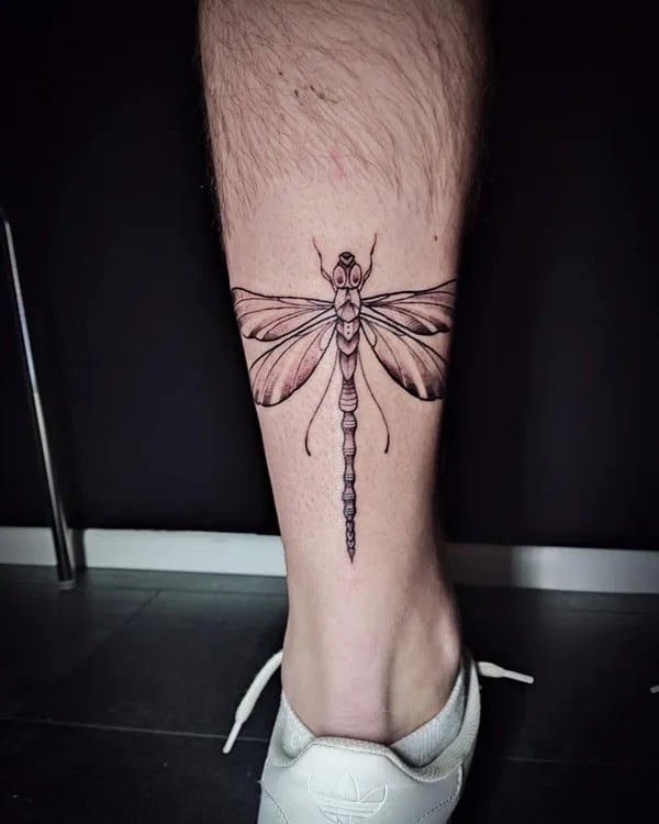 More Sublime Entries Of Dragonfly Tattoos