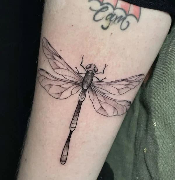 More Sublime Entries Of Dragonfly Tattoos