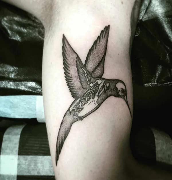 Hummingbird Skeleton Tattoo