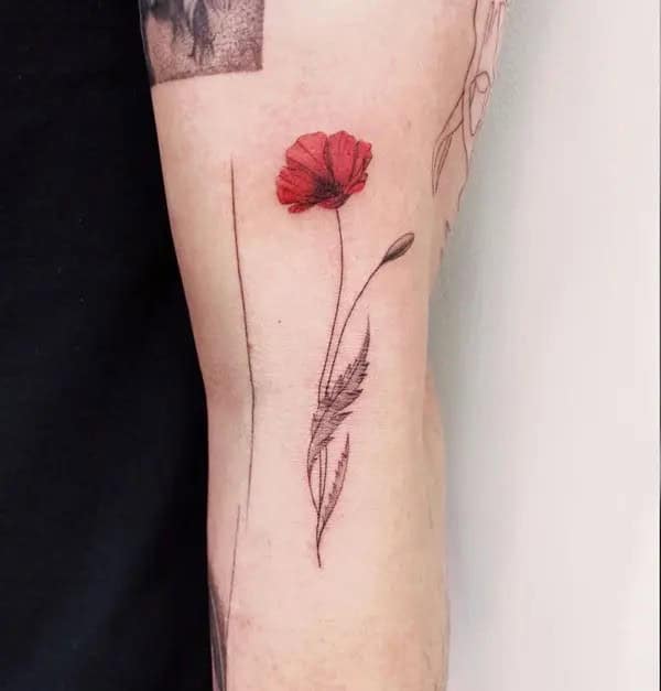 Red Poppy Flower Tattoo