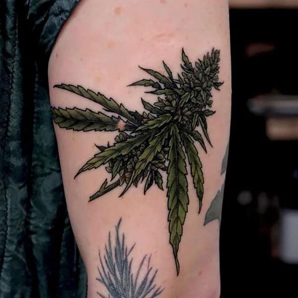 Weed Plant Tattoo