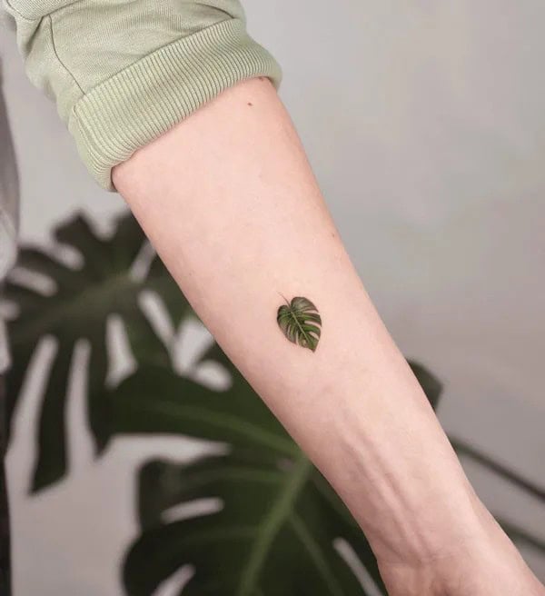 Small Monstera Tattoo