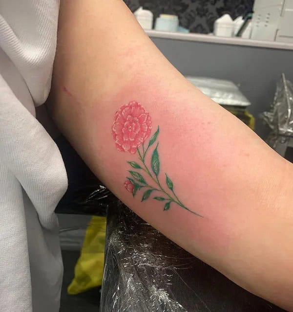 Carnation Tattoo on Arm