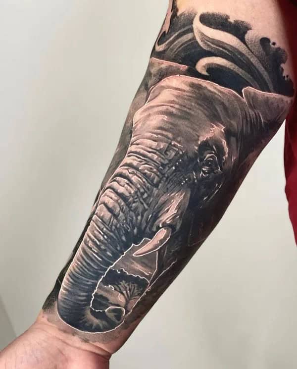 Elephant Forearm Tattoo