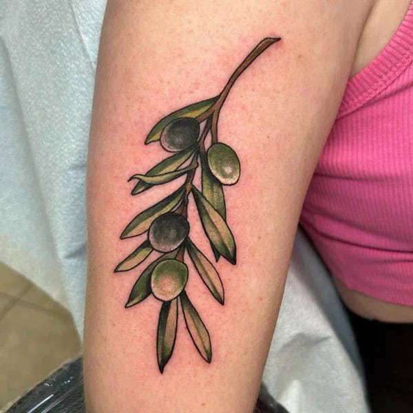 Traditional Olive Branch Tattoo