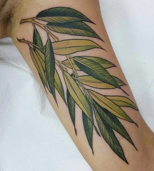 Willow Tree Leaf Tattoo