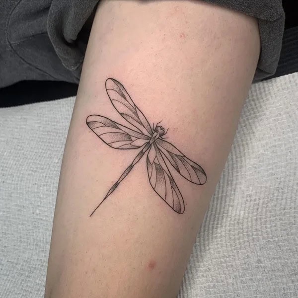 More Sublime Entries Of Dragonfly Tattoos