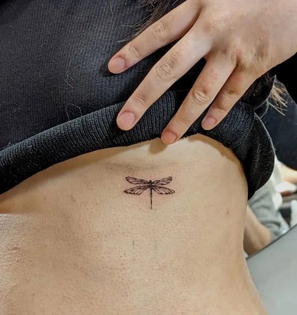 More Sublime Entries Of Dragonfly Tattoos