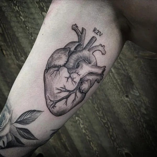 Anatomical Heart Tattoo On Chest