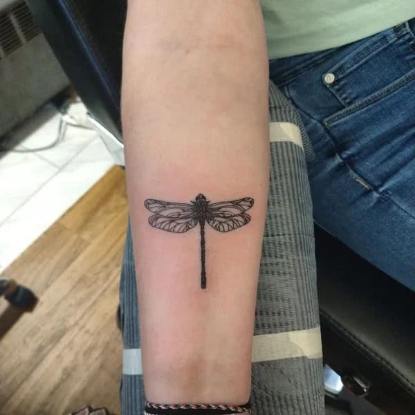 More Sublime Entries Of Dragonfly Tattoos