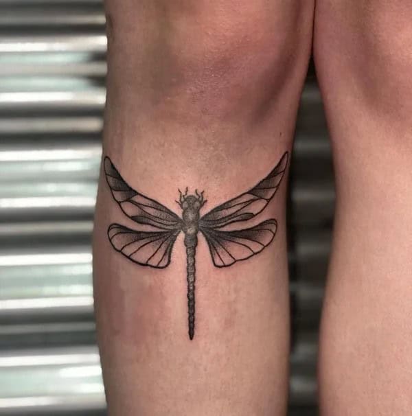 More Sublime Entries Of Dragonfly Tattoos