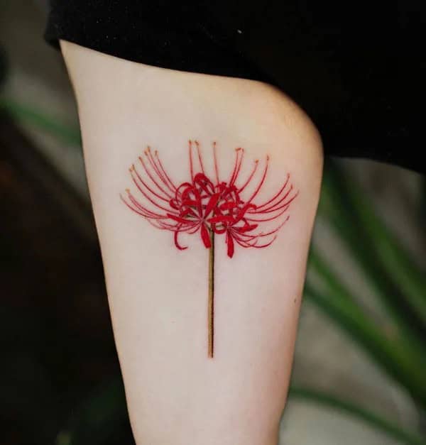 Demon Slayer Spider Lily Tattoo