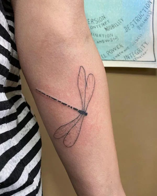 More Sublime Entries Of Dragonfly Tattoos