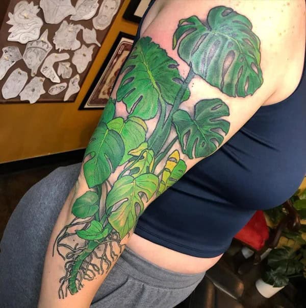 Meanings And Symbols Of Monstera Tattoo