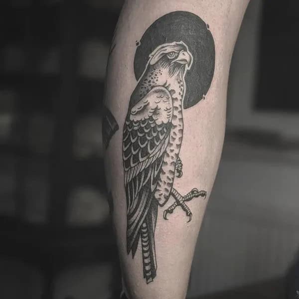 Traditional Hawk Tattoo